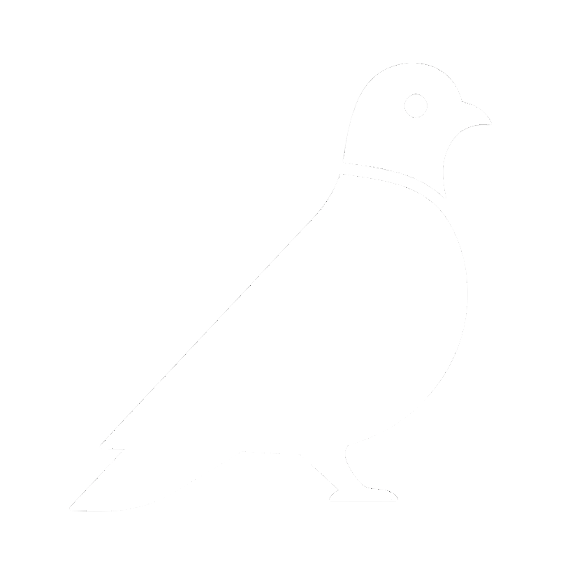 Pidge Me logo